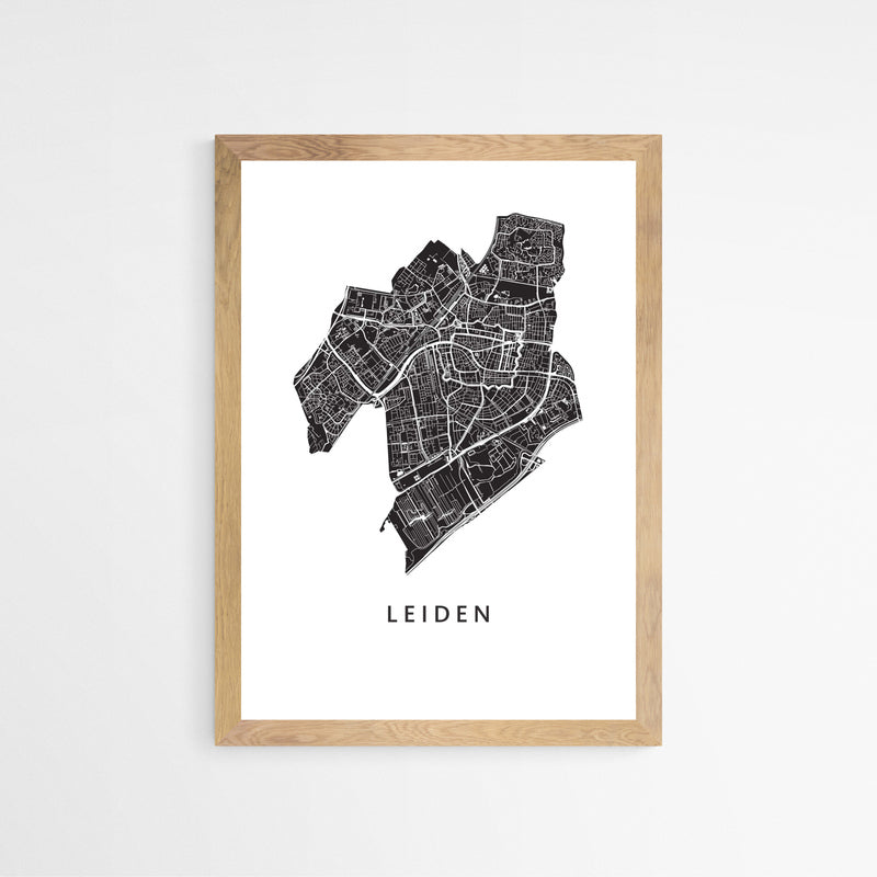 Leiden - Stadskaart