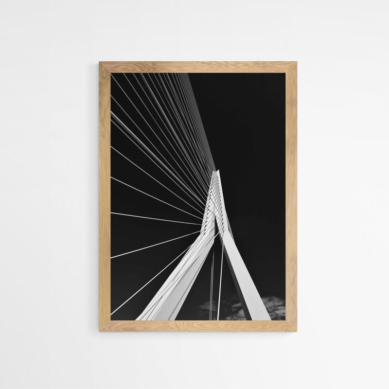 Rotterdam - Erasmusbrug
