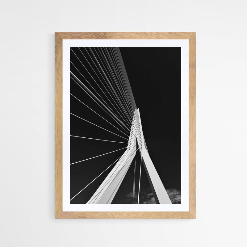 Rotterdam - Erasmusbrug